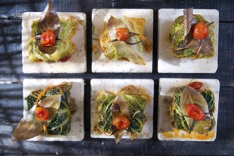 Presentation Of Tile Marl, Bundle Of Meat in Cabbage Leaves