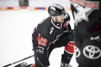 Laura Dick Cologne, LanxessArena, North Rhine-Westphalia, Maximilian Gloetzl (Cologne Sharks, #22),