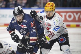 LanxessArena, Cologne, North Rhine-Westphalia, Kevin Niedenz (Cologne Sharks, #46), Fabian Herrmann