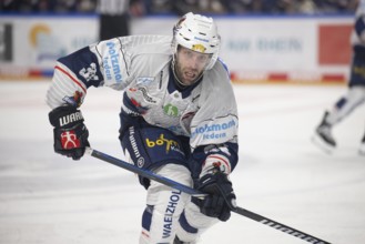 LanxessArena, Cologne, North Rhine-Westphalia, +is36+, PENNY DEL, Cologne Sharks-Iserlohn Roosters