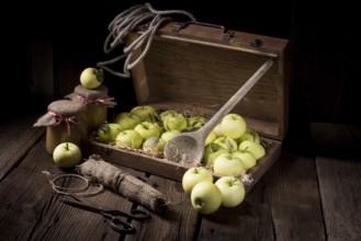 White transparent applesauce