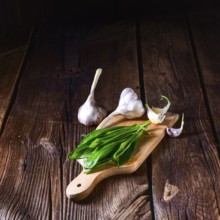 Fresh and tasty wild garlic