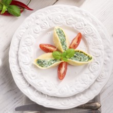 Conchiglioni
