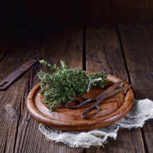 Thyme (Thymus vulgaris)