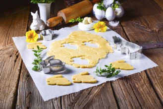 Raw Easter cookies