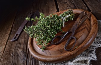 Thyme (Thymus vulgaris)