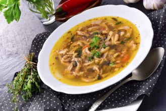 Traditional Politur-style tripe soup with beef and vegetables