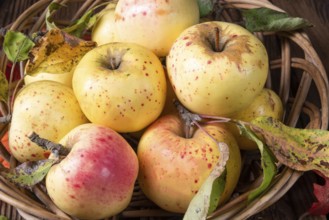 Fresh and delicious organic apples in a basket