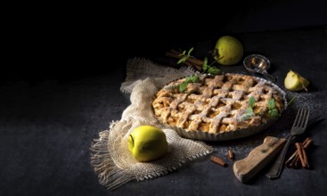 Tasty Apple pie with lattice upper crust