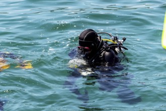 Switzerland, Zurich, rescue diver, symbol, l for rescue, help, emergency Austria, Europe