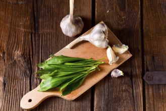 Fresh and tasty wild garlic