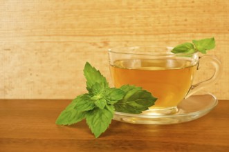 Herbal tea in a glass cup with mint on a table on a background of wooden boards