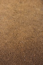 Rubber running path in a park in view