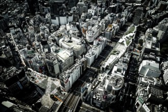 Tokyo skyline seen from the Shibuya Sky. Shooting Location: Tokyo metropolitan area