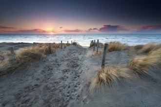 Sand path to North sea beach at sunset