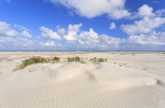 Sand dunes and blue sky at coast, Holland