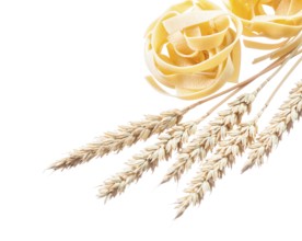 Wheat ears rolled pasta isolated on white