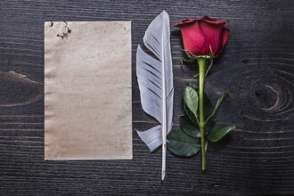 Vintage paper red natural bloomed rose plume on wooden board