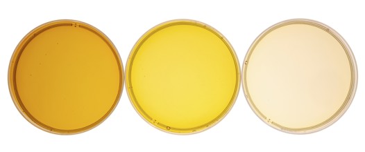 Sampler of pure maple syrup (golden, amber and gold) - three small glass bottles on a ceramic