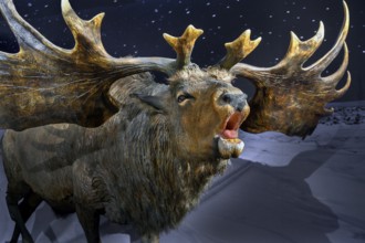 The Ice Age Moose, exhibition Ice Age Safari Allgäu in the Marstall, Kempten, Allgäu. Bavaria,