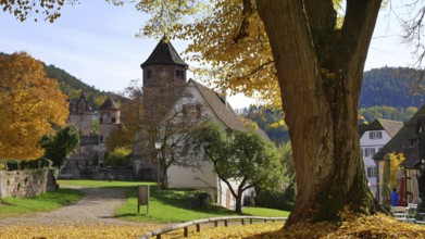 Former monastery of St Peter + Paul, Calw-Hirsau, Black Forest