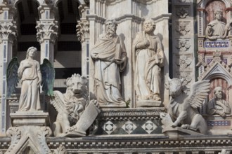 Detail of the Siena cathedral, Tuscany, Italy, Europe