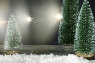 Christmas decoration background with fir trees and light flares