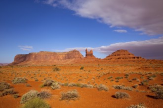 View from US 163 Scenic road to Monument Valley Park in Utah