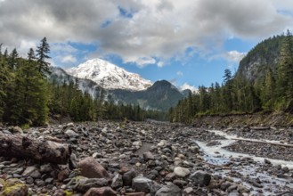 Great view on Mt Rainier from Nisqually river, USA, North America