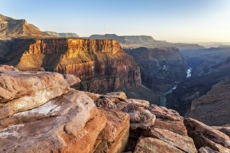 Evening light at Toroweap Overlook with a view of the Grand Canyon and the Colorado River, Arizona,