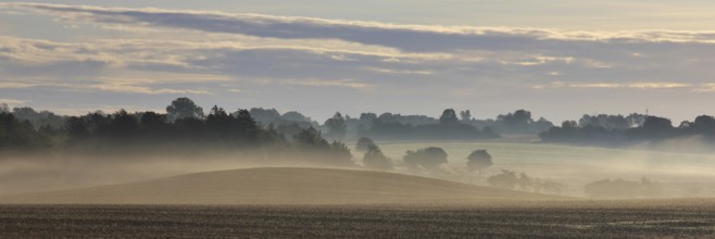 Misty fields on a summer morning in Sjaellan, Denmark, Europe