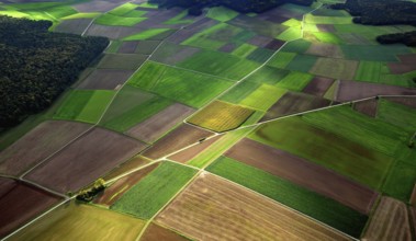 Aerial view of harvested fields