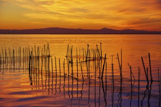 La Albufera lake sunset in El Saler of Valencia at Spain