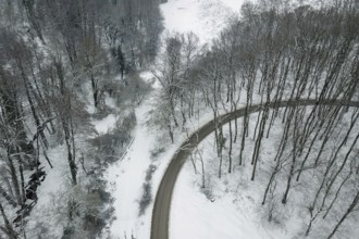 Winter road and forest