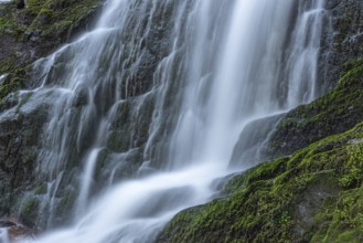 Fresh and beautiful waterfalls in a mountain torrent in spring. La Serva, Champ du feu, Vosges,