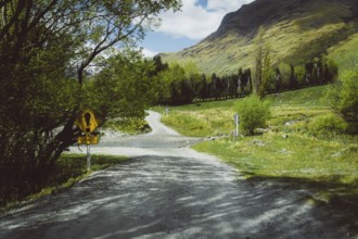 Gravel road in a rural setting with trees and signposts, Cattle Flat, Wanaka, New Zealand, Oceania