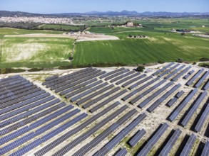 Photovoltaic plant between crop fields, Villafranca de Bonany, Majorca, Balearic Islands, Spain,
