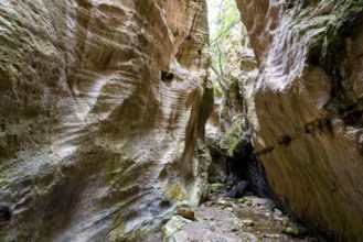 Avagas Gorge in the western part of Cyprus
