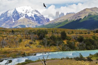 Scenic National Park in southern Chile. River and waterfall Cascades Paine