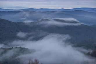 Landscape shot with cloudy sky and fog in the valley. View from a rock in the middle of forest and