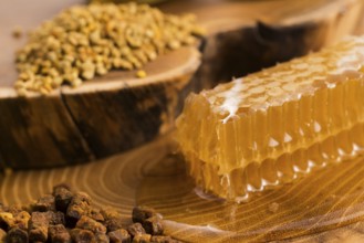 Honeycomb, pollen and propolis
