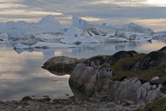 Ilulissat Icefjord, Greenland, under the midnight sun, North America