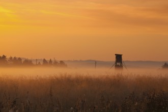 Hunting tower in the morning mist