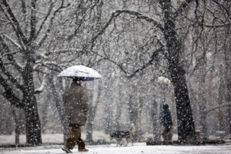 An old man walks in the park with umbrella during snowfall