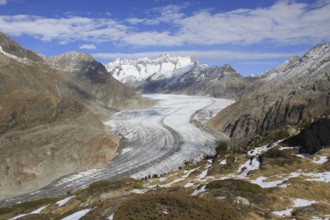 Great Aletsch Glacier