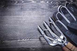 Rake trowel fork safety gloves on wooden board agriculture concept