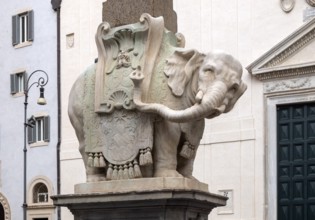 Rome, Roma, Piazza delle Minerva, Elephant by Bernini