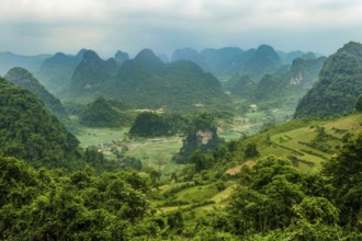 Typical Vietnamese landscape in spring with green vegetation