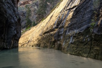 Narrows riverside walk Zion National Park