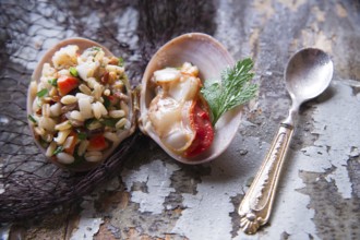 Presentation of the risotto warm to Fasolaro co parsley and garlic
